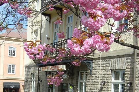 City Hotell i Eskisltuna